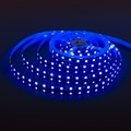 Лента светодиодная Elektrostandard 24V 60Led 14,4W IP20 Black a053681 - фото 4748948 Лента светодиодная Elektrostandard 24V 60Led 14,4W IP20 Black a053681 - фото 4748948