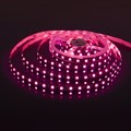 Лента светодиодная Elektrostandard 24V 60Led 14,4W IP20 Black a053681 - фото 4748949 Лента светодиодная Elektrostandard 24V 60Led 14,4W IP20 Black a053681 - фото 4748949