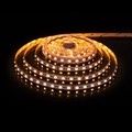 Лента светодиодная Elektrostandard 24V 60Led 24W IP20 RGBW a053701 - фото 4748966 Лента светодиодная Elektrostandard 24V 60Led 24W IP20 RGBW a053701 - фото 4748966