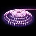 Лента светодиодная Elektrostandard 24V 60Led 24W IP20 RGBW a053701 - фото 4748970 Лента светодиодная Elektrostandard 24V 60Led 24W IP20 RGBW a053701 - фото 4748970