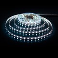 Лента светодиодная Elektrostandard 24V 60Led 24W IP20 RGBW a053702 - фото 4748981 Лента светодиодная Elektrostandard 24V 60Led 24W IP20 RGBW a053702 - фото 4748981