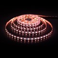 Лента светодиодная Elektrostandard 24V 60Led 24W IP20 RGBW a053703 - фото 4748991 Лента светодиодная Elektrostandard 24V 60Led 24W IP20 RGBW a053703 - фото 4748991