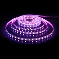 Лента светодиодная Elektrostandard 24V 60Led 24W IP20 RGBW a053703 - фото 4748997 Лента светодиодная Elektrostandard 24V 60Led 24W IP20 RGBW a053703 - фото 4748997