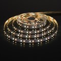 Лента светодиодная Elektrostandard 90Led 16W IP20 RGBWW a053707 - фото 4749001 Лента светодиодная Elektrostandard 90Led 16W IP20 RGBWW a053707 - фото 4749001