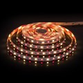 Лента светодиодная Elektrostandard 24V 60Led 14,4W IP20 RGBW a053728 - фото 4749012 Лента светодиодная Elektrostandard 24V 60Led 14,4W IP20 RGBW a053728 - фото 4749012