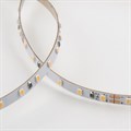 Лента светодиодная Elektrostandard 2116 24V 120Led 8W a056425 - фото 4749061 Лента светодиодная Elektrostandard 2116 24V 120Led 8W a056425 - фото 4749061