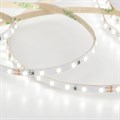 Лента светодиодная Elektrostandard 2116 24V 120Led 8W a056427 - фото 4749070 Лента светодиодная Elektrostandard 2116 24V 120Led 8W a056427 - фото 4749070