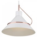 Подвесной светильник Freya Amis FR5025PL-01W - фото 4755577