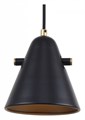 Подвесной светильник F-promo Rigor 2844-1P - фото 4757837