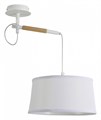 Светильник на штанге F-promo Eureka 3005-1P - фото 4758007