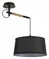 Светильник на штанге F-promo Eureka 3006-1P - фото 4758015
