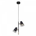 Подвесной светильник F-promo Trandy 4618-2P - фото 4759013 Подвесной светильник F-promo Trandy 4618-2P - фото 4759013