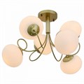 Люстра на штанге EVOLUCE Acini SL717.202.06 - фото 4764560