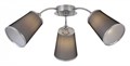 Потолочная люстра EVOLUCE Maleonte SLE103002-03 - фото 4764614