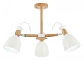 Люстра на штанге EVOLUCE Balcamo SLE103802-03 - фото 4765144