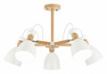Люстра на штанге EVOLUCE Balcamo SLE103802-05 - фото 4765145