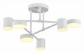 Потолочная люстра EVOLUCE Nobel SLE201052-06 - фото 4765349