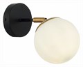 Бра EVOLUCE Forli SLE220401-01 - фото 4765561