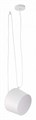Подвесной светильник EVOLUCE Trieste SLE120653-01 - фото 4765604
