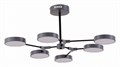Люстра на штанге EVOLUCE Monta SLE6003-702-06 - фото 4765900