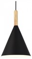 Подвесной светильник EVOLUCE Arket SLE1255-403-01 - фото 4766231