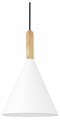 Подвесной светильник EVOLUCE Arket SLE1255-413-01 - фото 4766265
