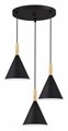 Подвесной светильник EVOLUCE Arket SLE1255-423-03 - фото 4766276