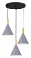 Подвесной светильник EVOLUCE Arket SLE1255-433-03 - фото 4766281