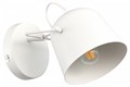 Бра EVOLUCE Blank SLE1805-501-01 - фото 4766339