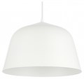 Подвесной светильник EVOLUCE Blank SLE1805-503-01 - фото 4766343