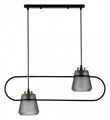 Подвесной светильник Indigo Astratto 11016/2P Black - фото 4766836