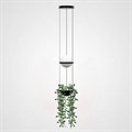 Подвесной светильник Imperiumloft Palma Wall Lamp 22.93727 - фото 4769258