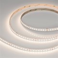 Лента светодиодная Arlight A126 24V 10mm 8 W/m 044496 - фото 4779498