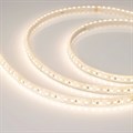 Лента светодиодная Arlight A120 12V 16.8 W/m IP68 бассейн 029598(3) - фото 4779863