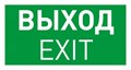 Пиктограмма Arlight EMERGENCY 046661 - фото 4781114