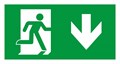 Пиктограмма Arlight EMERGENCY 046662 - фото 4781115