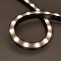Лента светодиодная Arlight THOR 045254 - фото 4781505