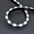 Лента светодиодная Arlight THOR 045255 - фото 4781510