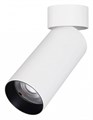 Светильник на штанге Arlight GABI 049928 - фото 4783266