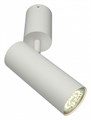 Спот Aployt Berenis APL.007.02.01 - фото 4792646