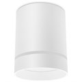 Накладной светильник Ambrella Light TN TN280 - фото 4801761