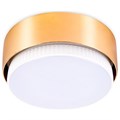 Накладной светильник Ambrella Light G G102 GD - фото 4801777