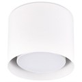 Накладной светильник Ambrella Light TN TN700 - фото 4802137