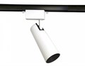 Светильник на штанге Ambrella Light GL GL5853 - фото 4803294