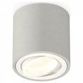 Накладной светильник Ambrella Light XS XS7533001 - фото 4808308