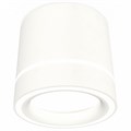 Накладной светильник Ambrella Light XS XS8110004 - фото 4809438