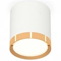 Накладной светильник Ambrella Light XS XS8141004 - фото 4809533