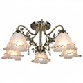 Потолочная люстра Omnilux Petrara OML-54807-05 - фото 4819449