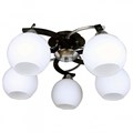 Потолочная люстра Omnilux Caldiero OML-25407-05 - фото 4820045