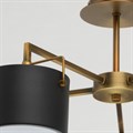 Люстра на штанге MW-Light Сайрус 2 721010205 - фото 4822517 Люстра на штанге MW-Light Сайрус 2 721010205 - фото 4822517